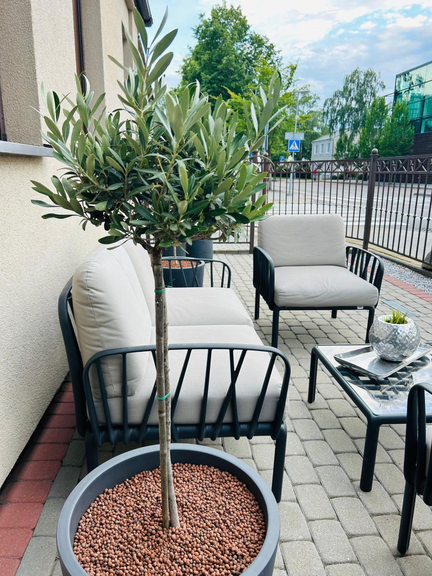 Astos Vila Palanga Dış mekan fotoğraf